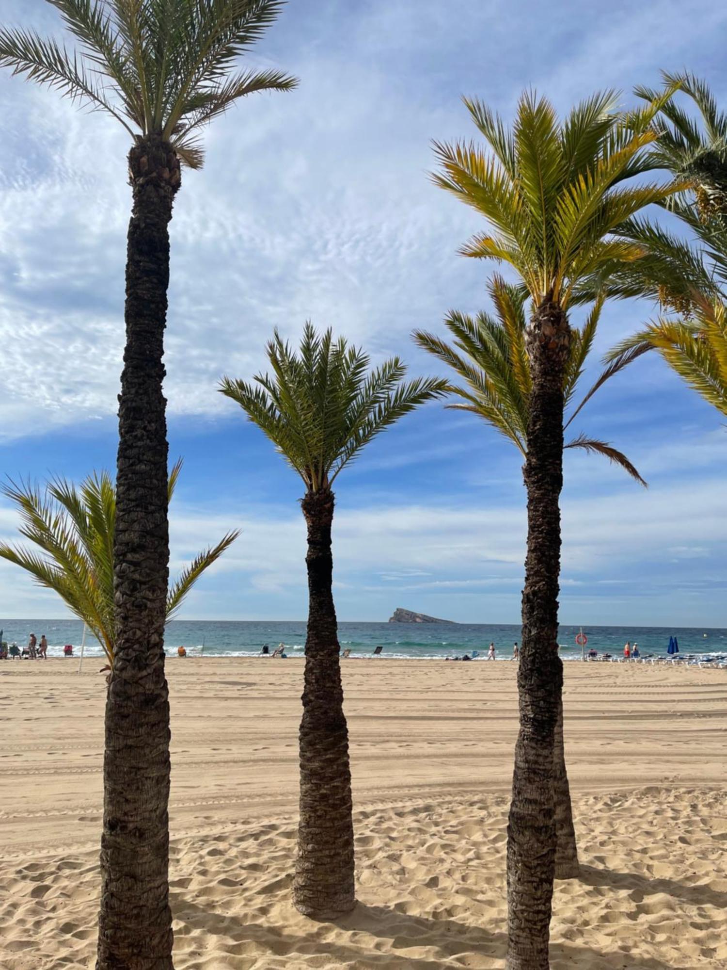 Apartmán Marinapartsol 5A Benidorm Exteriér fotografie